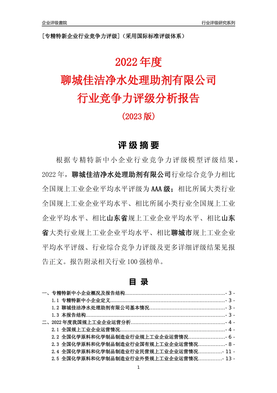 [专精特新]聊城佳洁净水处理助剂有限公司行业竞争力评级分析报告(2023版)_第1页