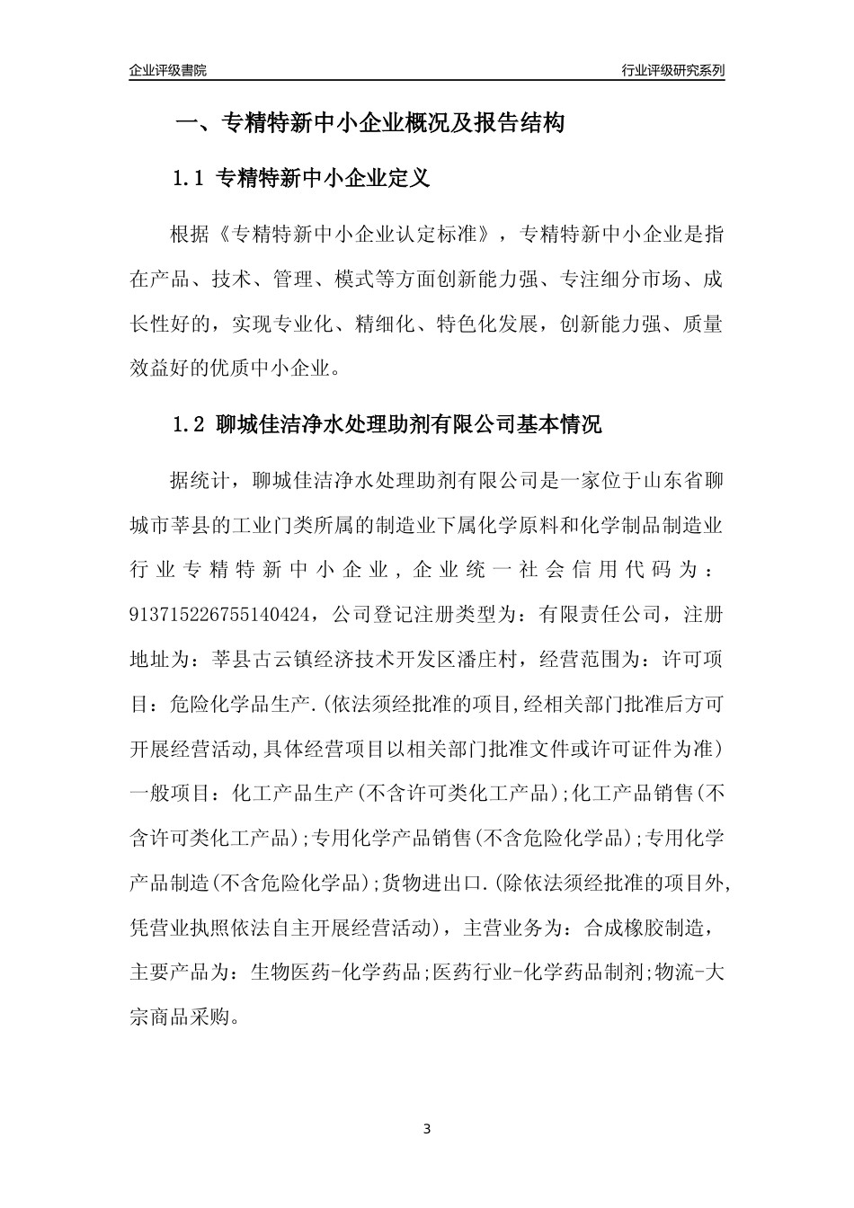 [专精特新]聊城佳洁净水处理助剂有限公司行业竞争力评级分析报告(2023版)_第3页