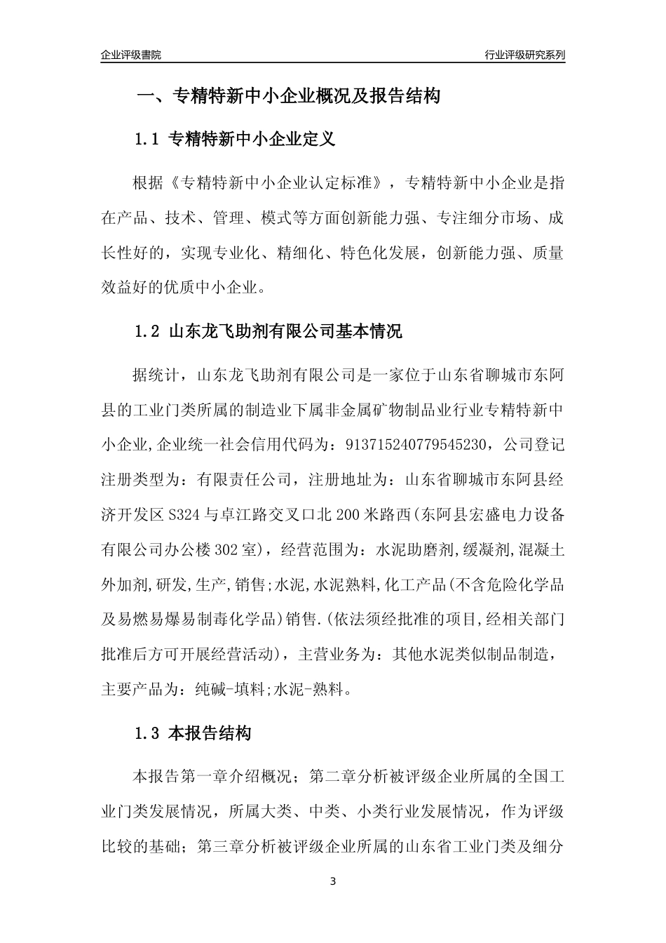 [专精特新]山东龙飞助剂有限公司行业竞争力评级分析报告(2023版)_第3页