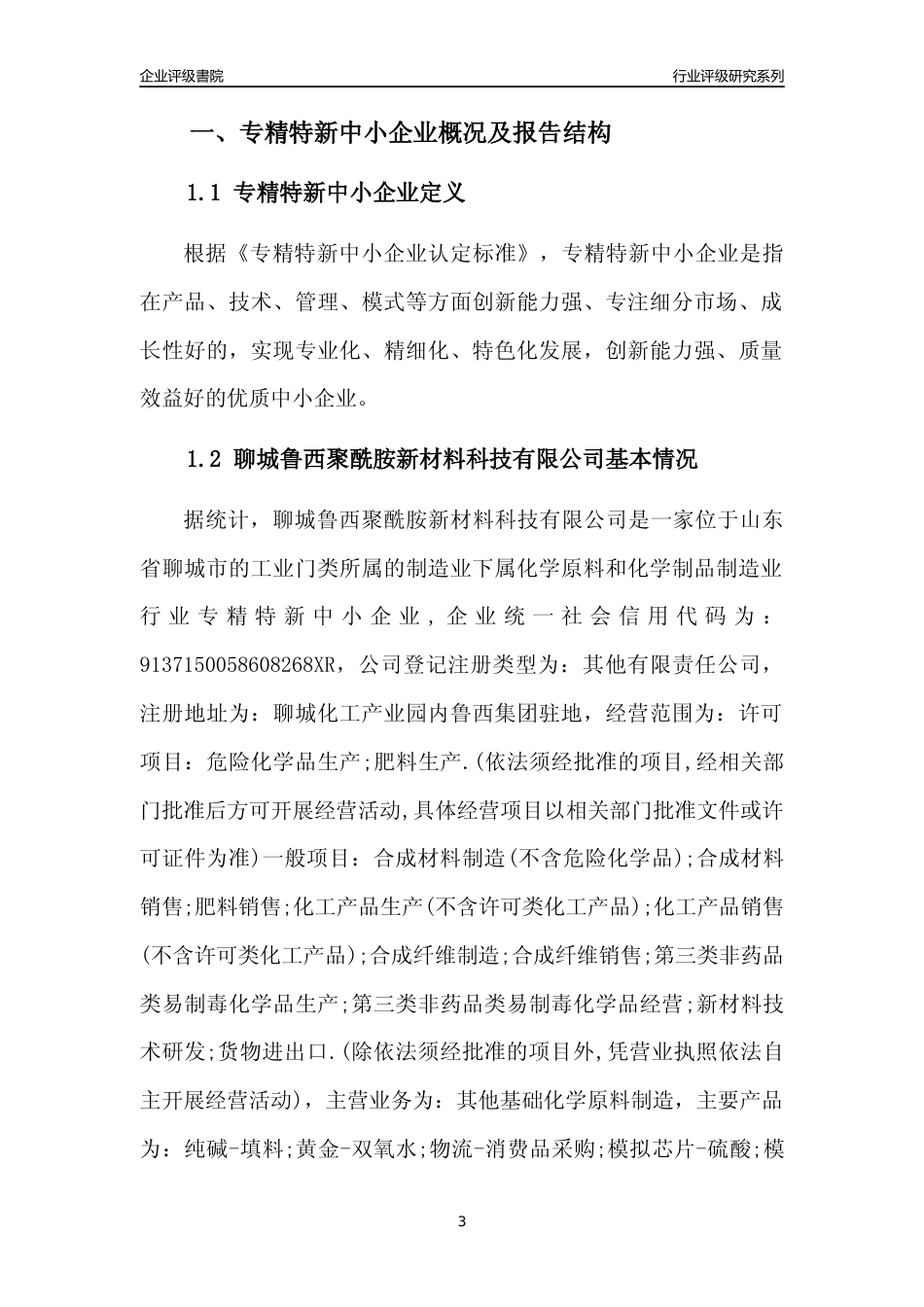 [专精特新]聊城鲁西聚酰胺新材料科技有限公司行业竞争力评级分析报告(2023版)_第3页