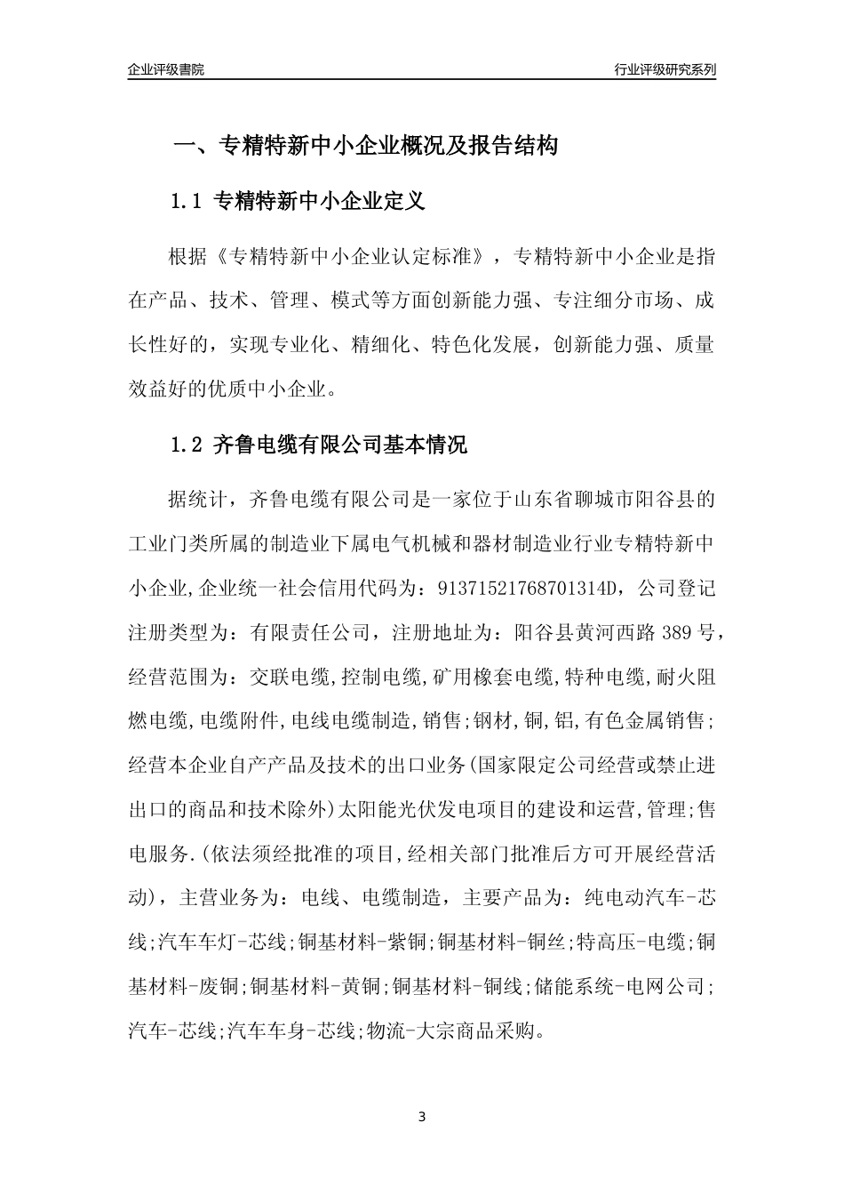 [专精特新]齐鲁电缆有限公司行业竞争力评级分析报告(2023版)_第3页