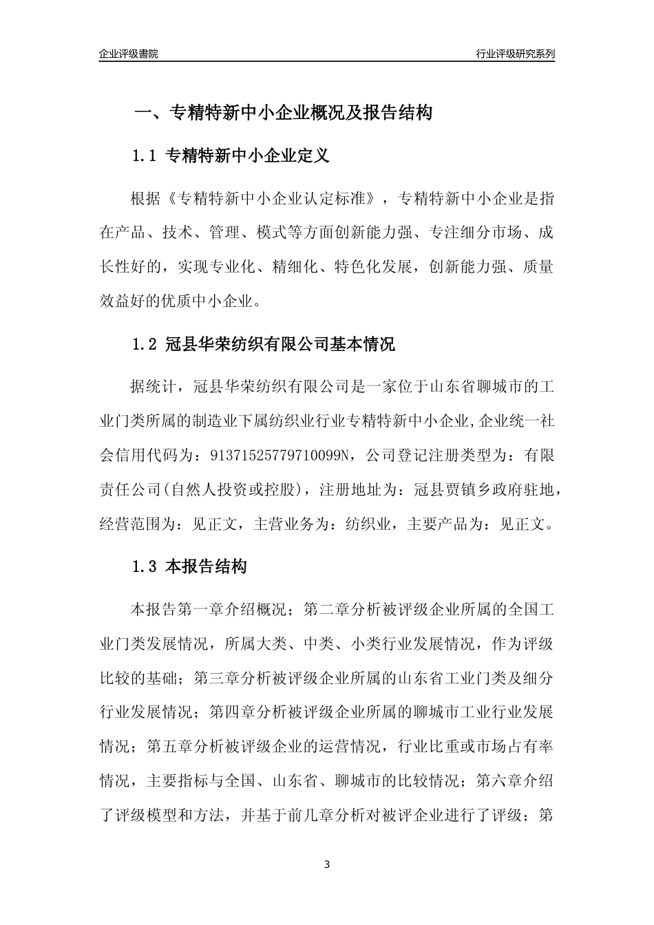[专精特新]冠县华荣纺织有限公司行业竞争力评级分析报告(2023版)_第3页