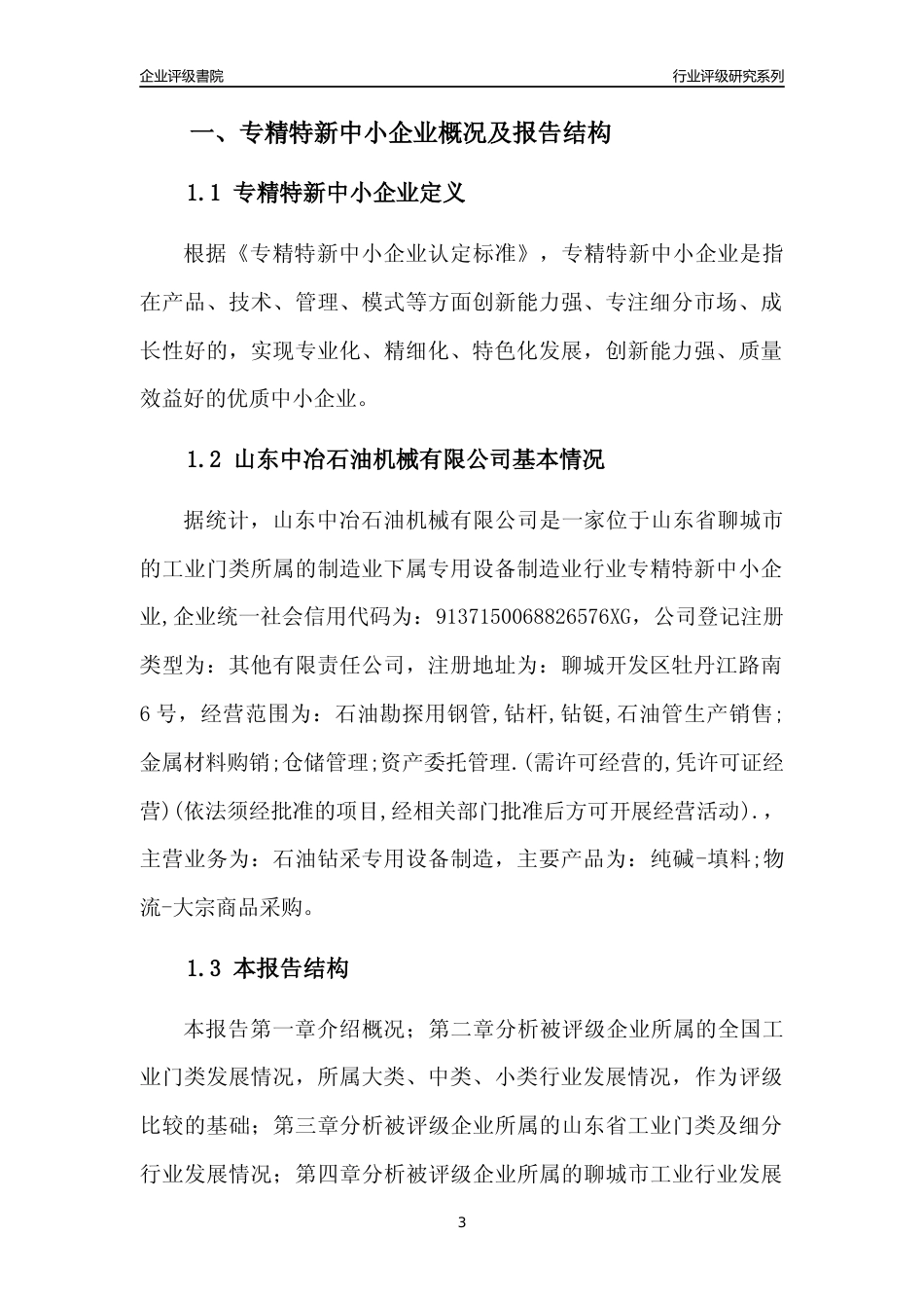 [专精特新]山东中冶石油机械有限公司行业竞争力评级分析报告(2023版)_第3页