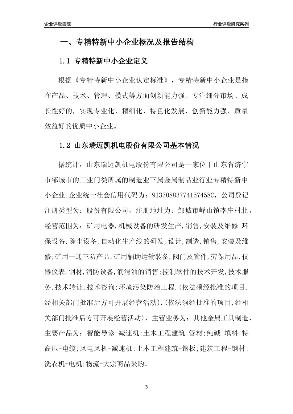 [专精特新]山东瑞迈凯机电股份有限公司行业竞争力评级分析报告(2023版)_第3页