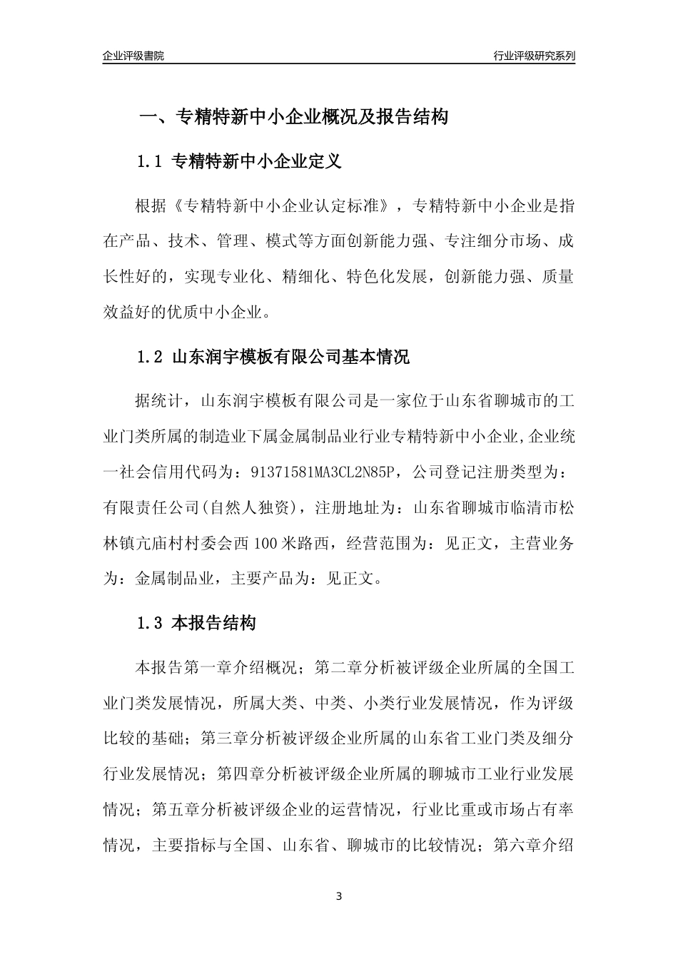 [专精特新]山东润宇模板有限公司行业竞争力评级分析报告(2023版)_第3页