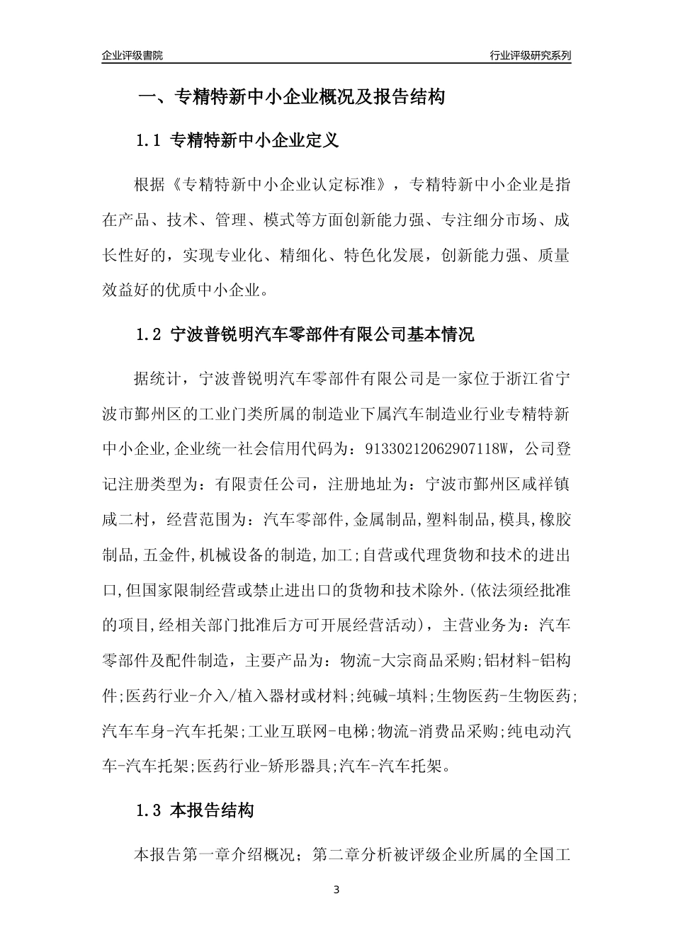 [专精特新]宁波普锐明汽车零部件有限公司行业竞争力评级分析报告(2023版)_第3页
