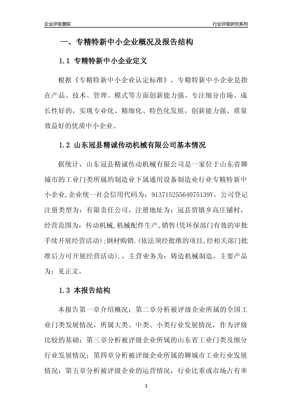 [专精特新]山东冠县精诚传动机械有限公司行业竞争力评级分析报告(2023版)_第3页