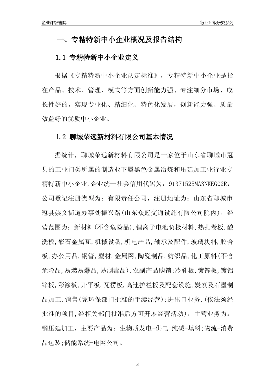 [专精特新]聊城荣远新材料有限公司行业竞争力评级分析报告(2023版)_第3页