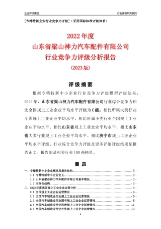 [专精特新]山东省梁山神力汽车配件有限公司行业竞争力评级分析报告(2023版)