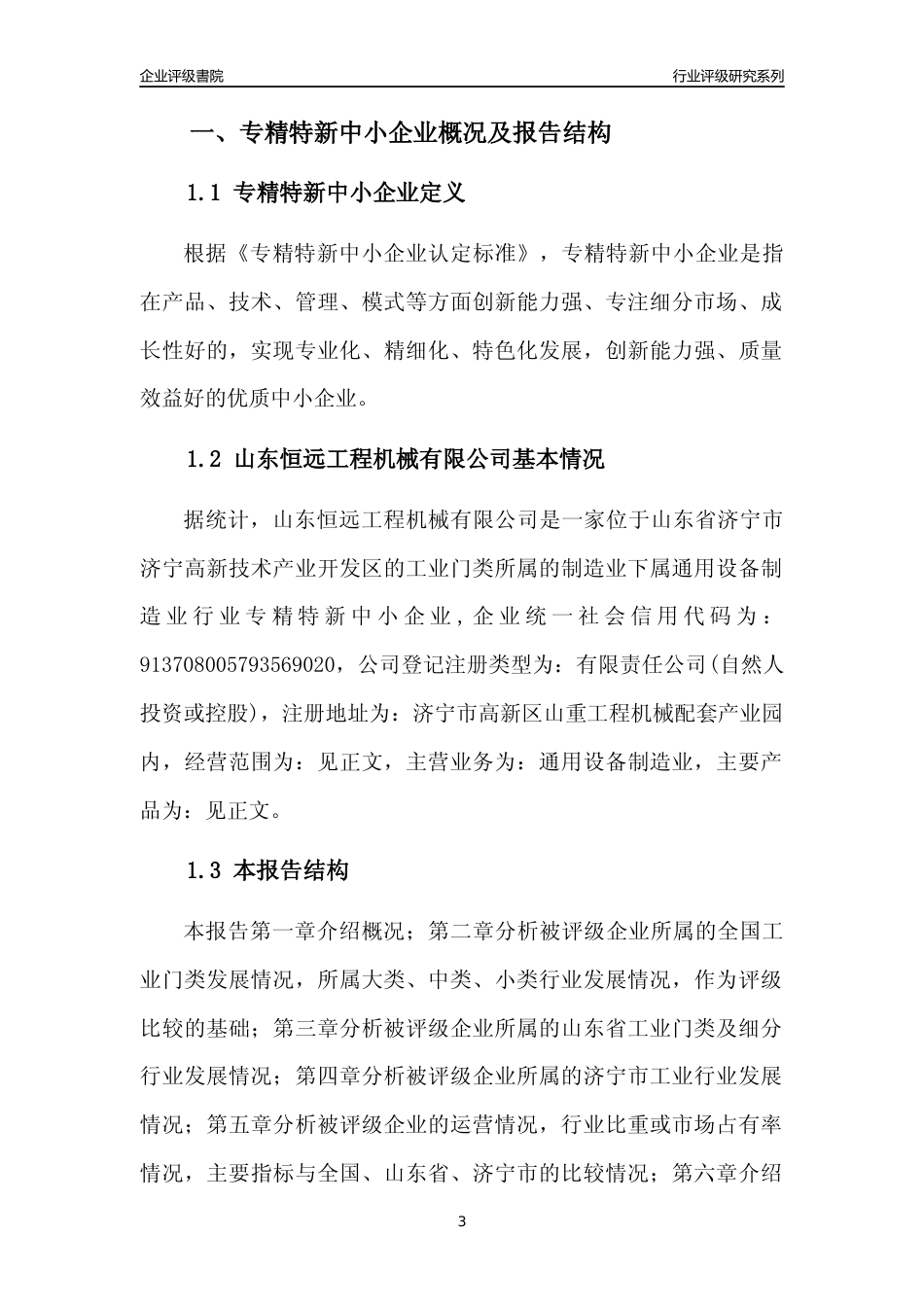 [专精特新]山东恒远工程机械有限公司行业竞争力评级分析报告(2023版)_第3页