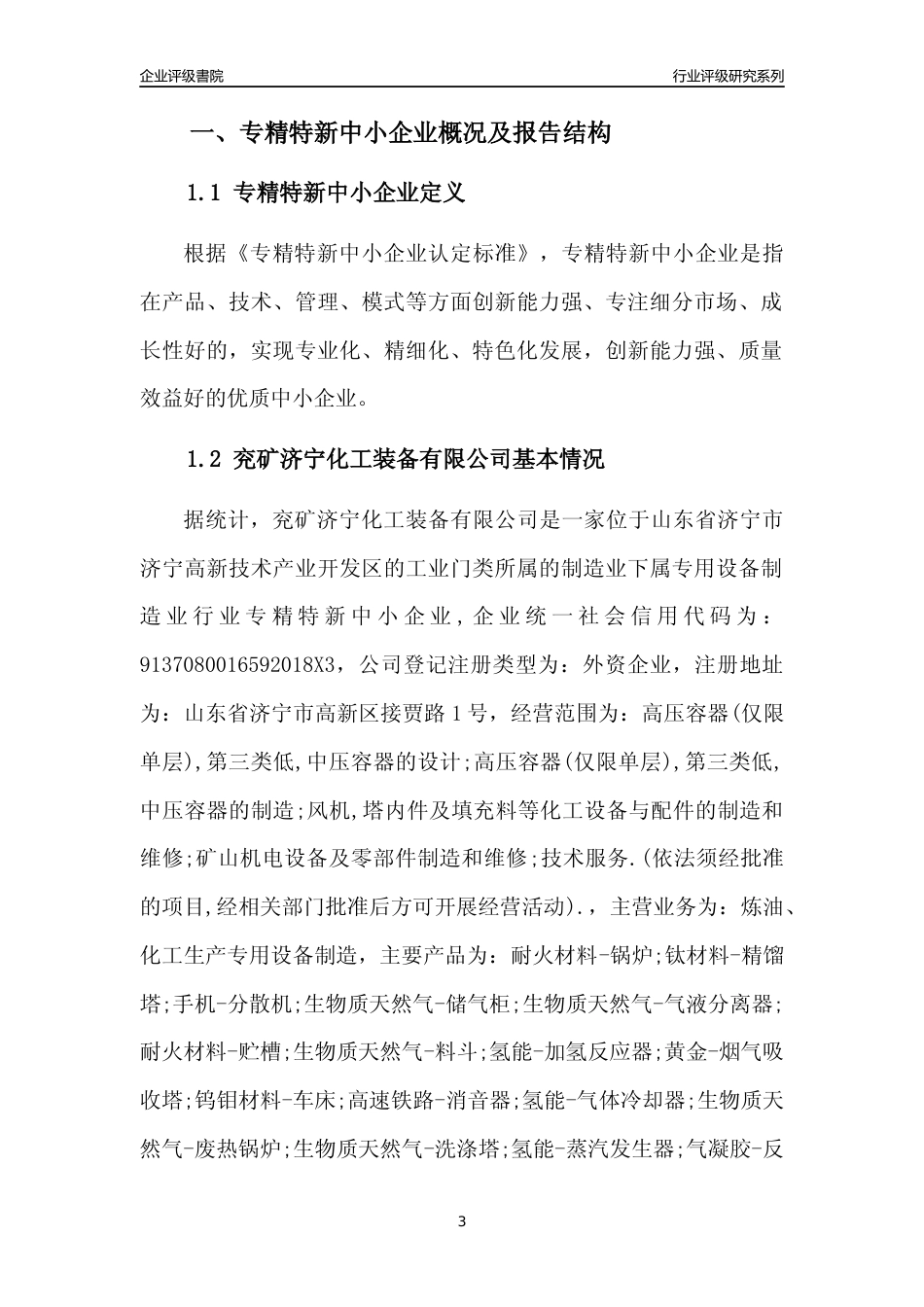 [专精特新]兖矿济宁化工装备有限公司行业竞争力评级分析报告(2023版)_第3页
