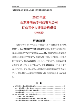[专精特新]山东辉瑞医学科技有限公司行业竞争力评级分析报告(2023版)