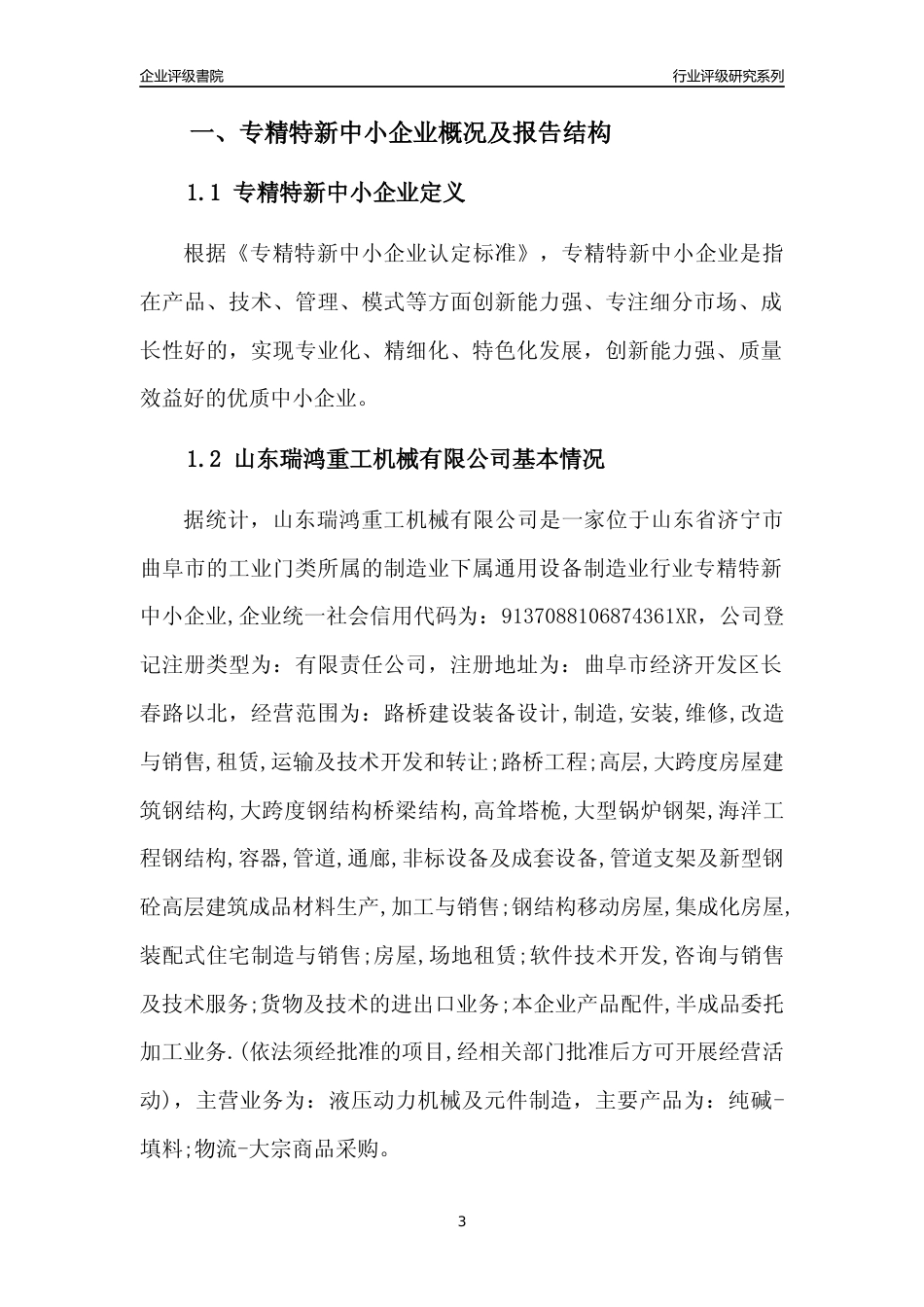 [专精特新]山东瑞鸿重工机械有限公司行业竞争力评级分析报告(2023版)_第3页