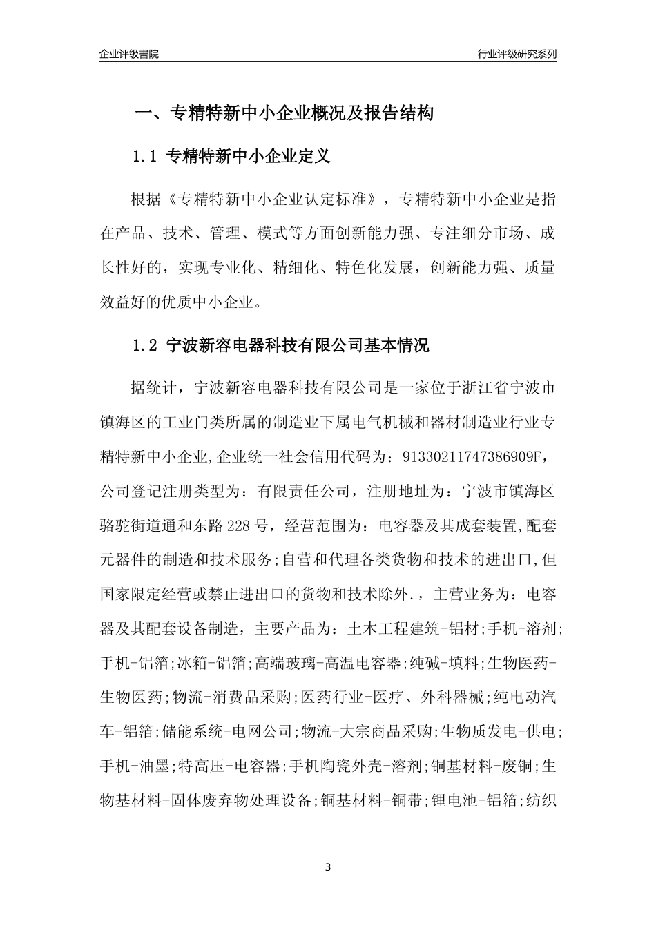 [专精特新]宁波新容电器科技有限公司行业竞争力评级分析报告(2023版)_第3页