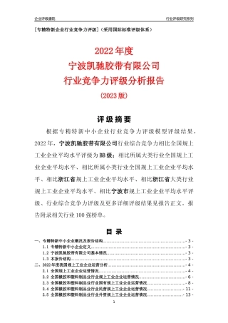 [专精特新]宁波凯驰胶带有限公司行业竞争力评级分析报告(2023版)
