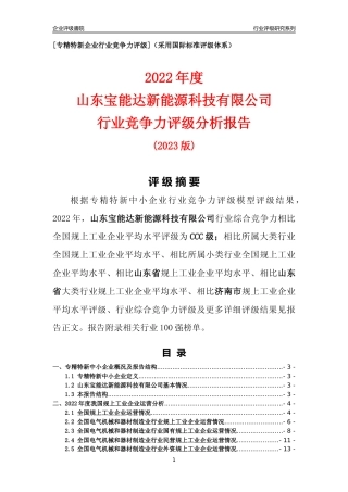 [专精特新]山东宝能达新能源科技有限公司行业竞争力评级分析报告(2023版)