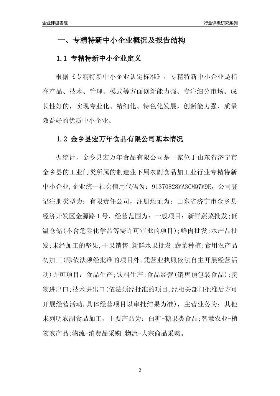 [专精特新]金乡县宏万年食品有限公司行业竞争力评级分析报告(2023版)_第3页