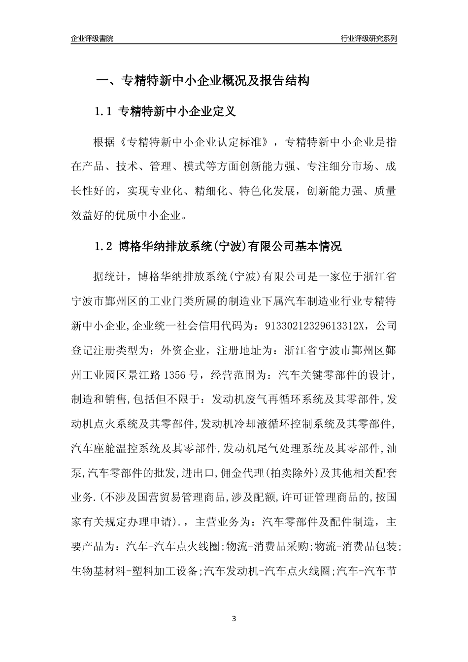 [专精特新]博格华纳排放系统(宁波)有限公司行业竞争力评级分析报告(2023版)_第3页