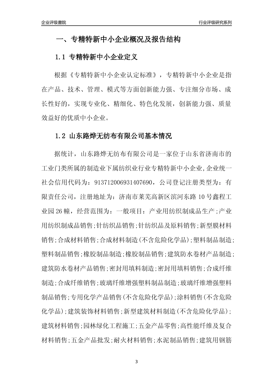 [专精特新]山东路烨无纺布有限公司行业竞争力评级分析报告(2023版)_第3页