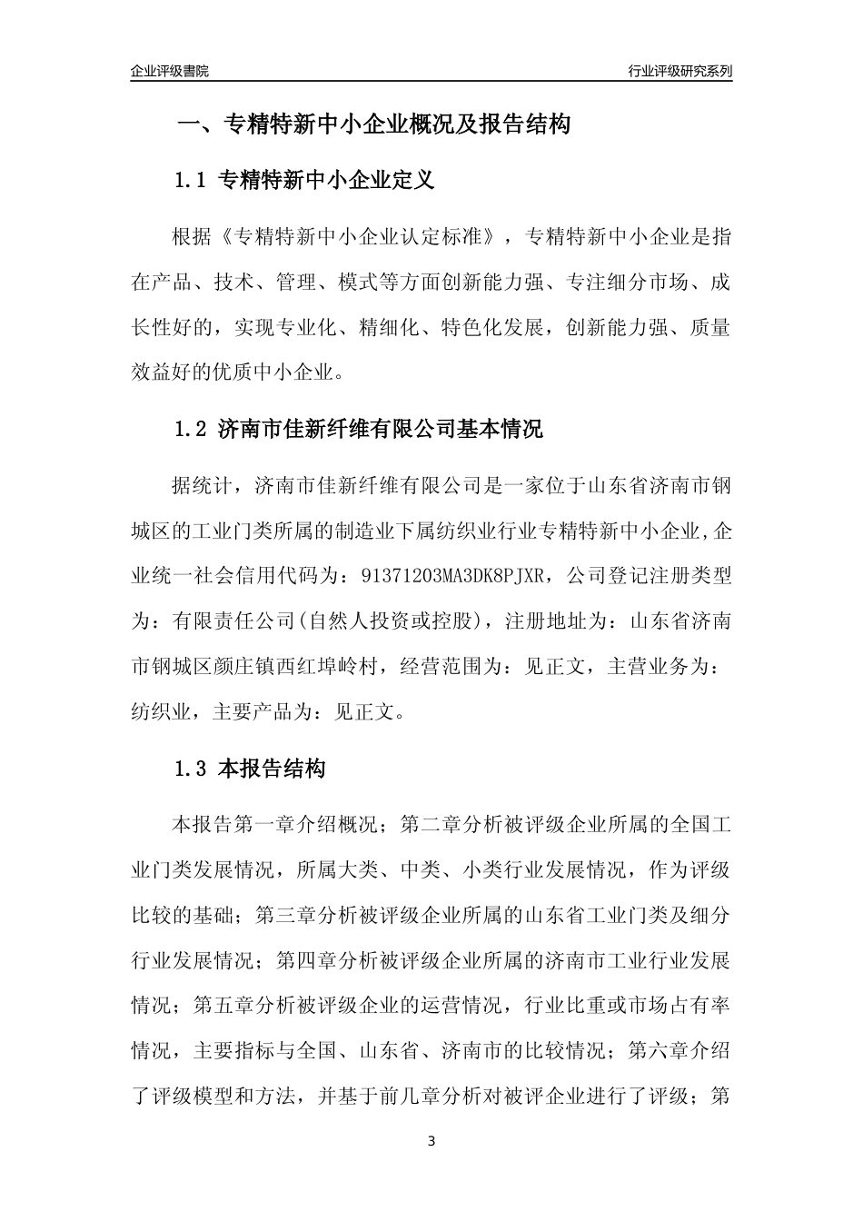 [专精特新]济南市佳新纤维有限公司行业竞争力评级分析报告(2023版)_第3页