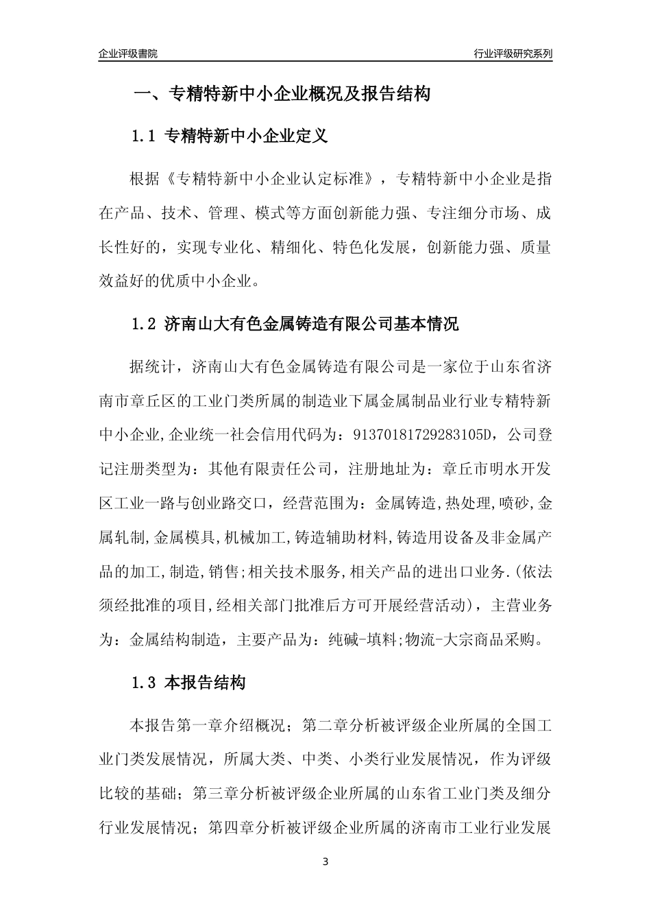 [专精特新]济南山大有色金属铸造有限公司行业竞争力评级分析报告(2023版)_第3页