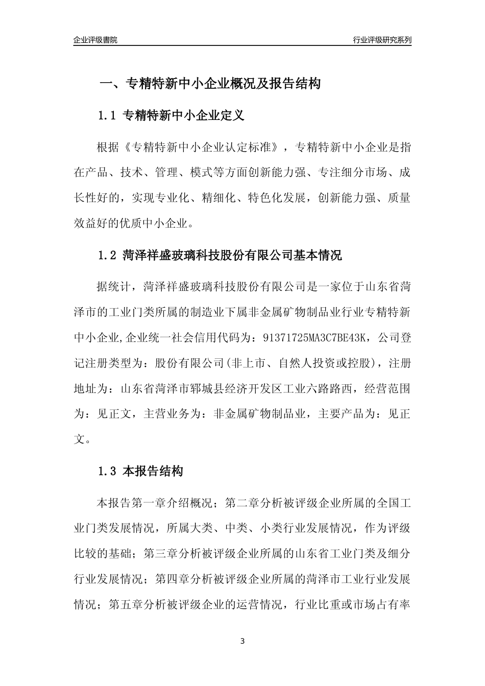 [专精特新]菏泽祥盛玻璃科技股份有限公司行业竞争力评级分析报告(2023版)_第3页