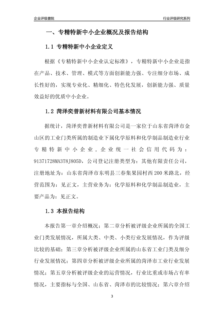 [专精特新]菏泽奕普新材料有限公司行业竞争力评级分析报告(2023版)_第3页