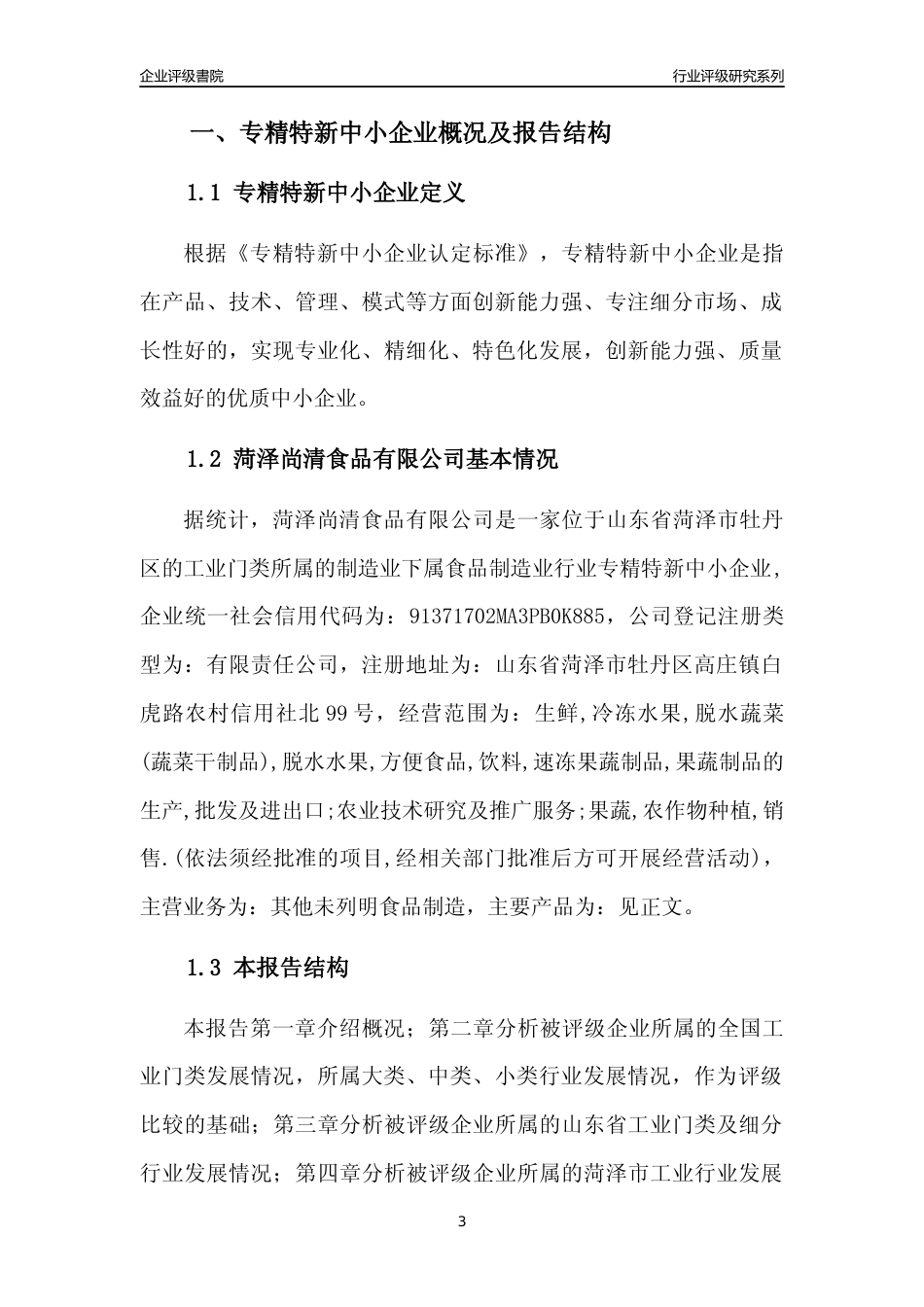 [专精特新]菏泽尚清食品有限公司行业竞争力评级分析报告(2023版)_第3页
