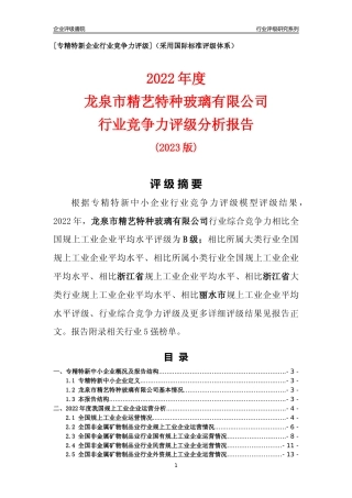 [专精特新]龙泉市精艺特种玻璃有限公司行业竞争力评级分析报告(2023版)