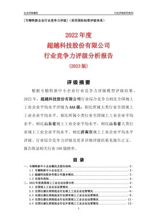 [专精特新]超越科技股份有限公司行业竞争力评级分析报告(2023版)