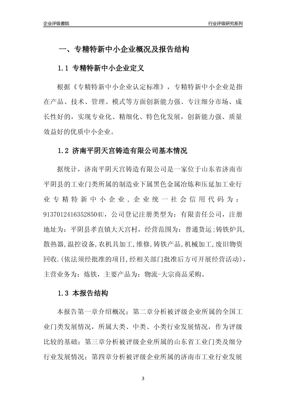 [专精特新]济南平阴天宫铸造有限公司行业竞争力评级分析报告(2023版)_第3页