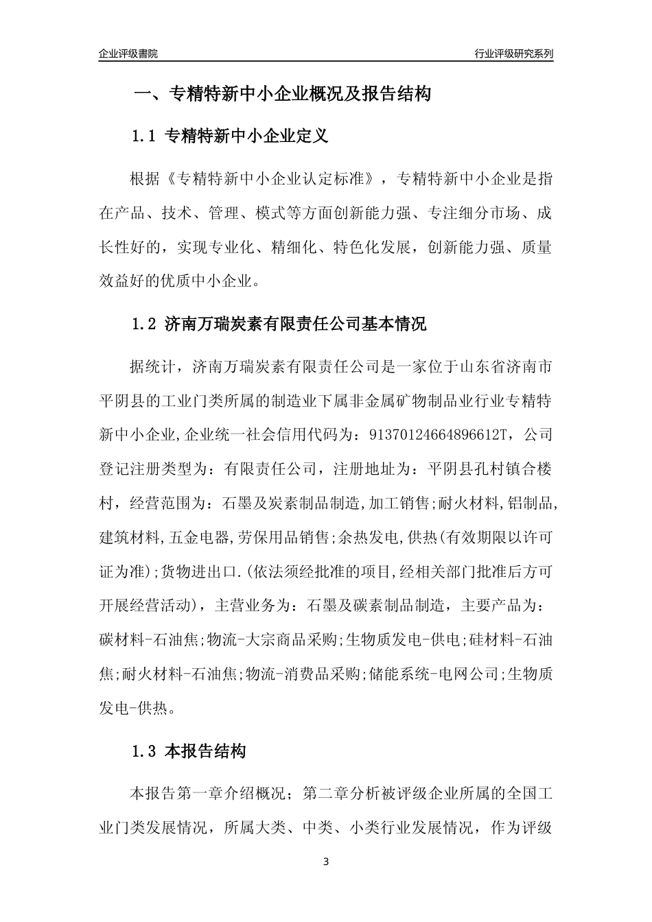 [专精特新]济南万瑞炭素有限责任公司行业竞争力评级分析报告(2023版)_第3页