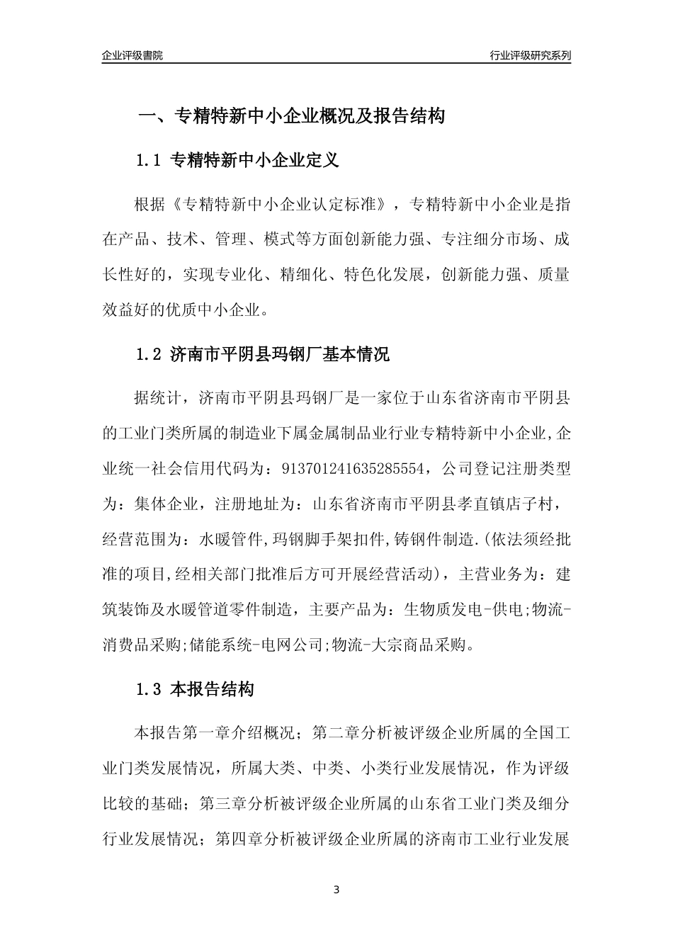 [专精特新]济南市平阴县玛钢厂行业竞争力评级分析报告(2023版)_第3页