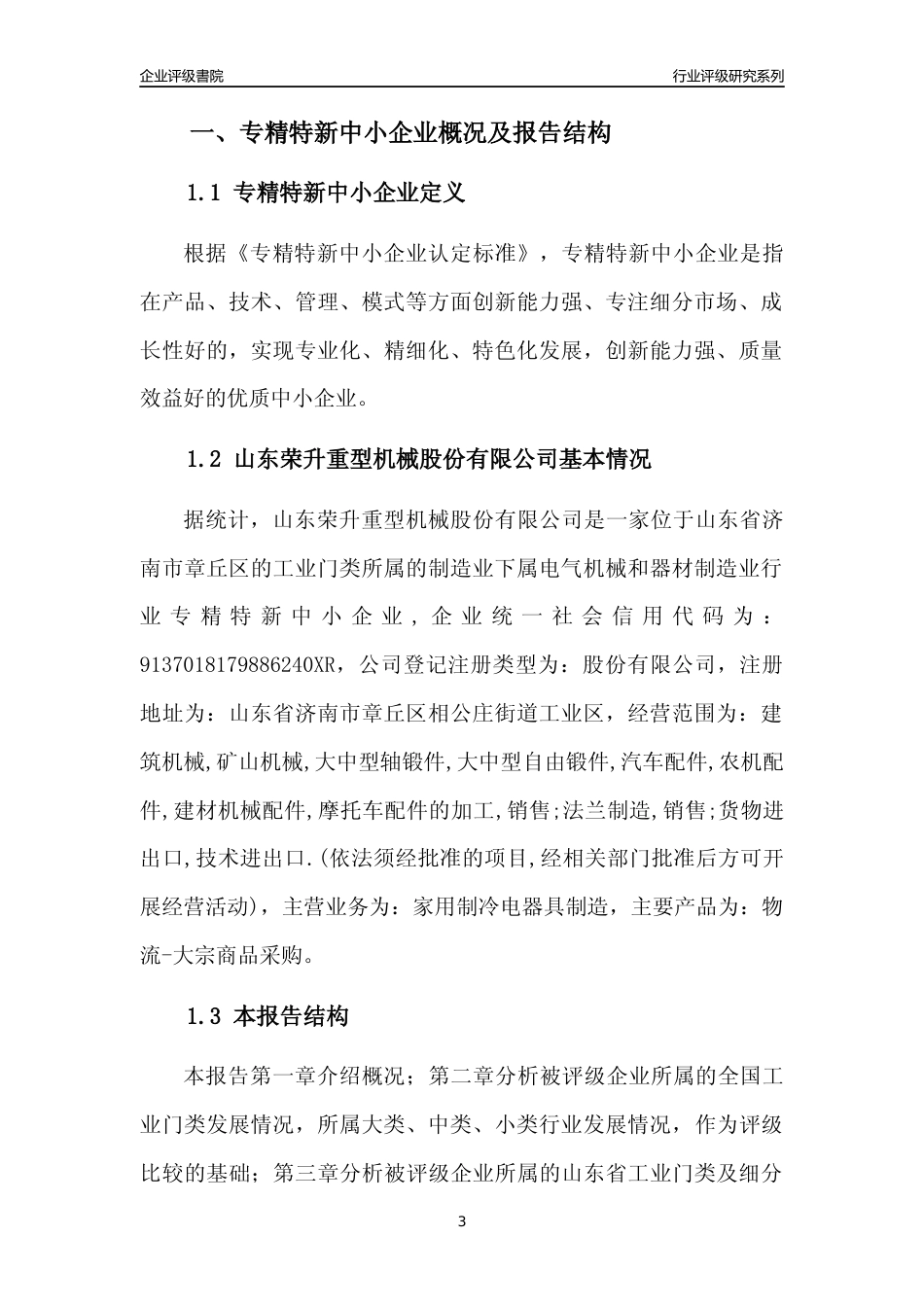 [专精特新]山东荣升重型机械股份有限公司行业竞争力评级分析报告(2023版)_第3页
