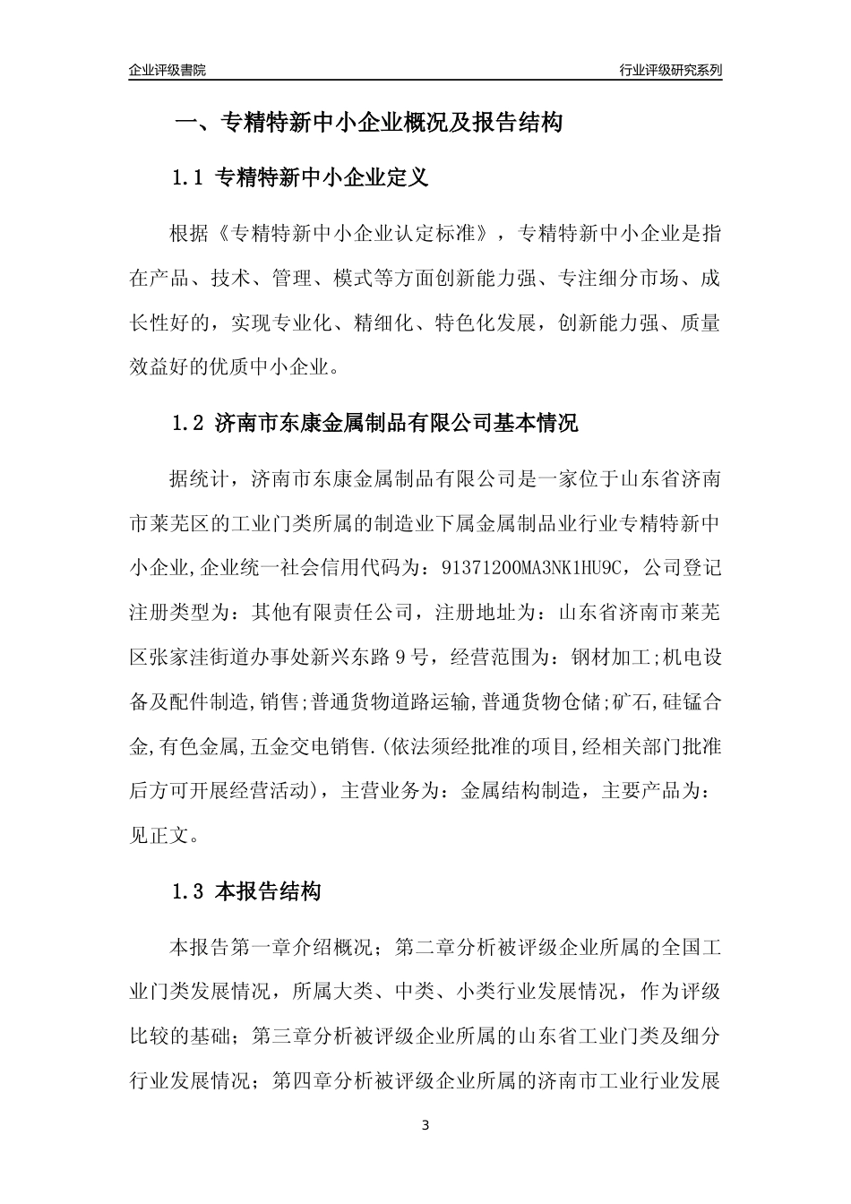 [专精特新]济南市东康金属制品有限公司行业竞争力评级分析报告(2023版)_第3页
