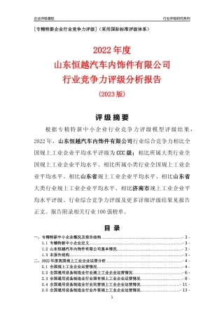 [专精特新]山东恒越汽车内饰件有限公司行业竞争力评级分析报告(2023版)