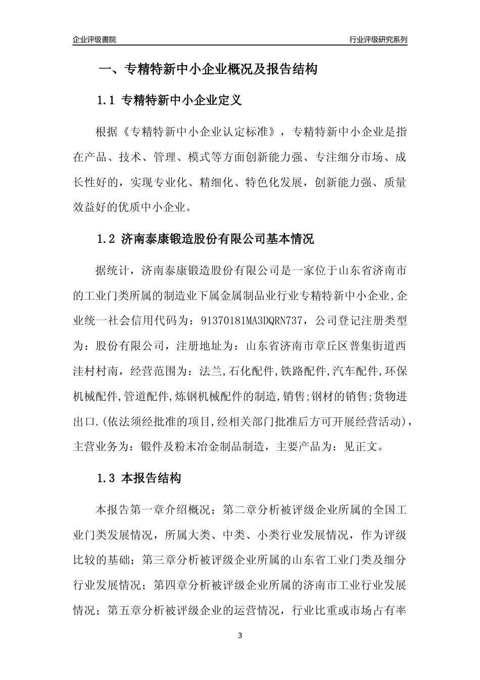 [专精特新]济南泰康锻造股份有限公司行业竞争力评级分析报告(2023版)_第3页