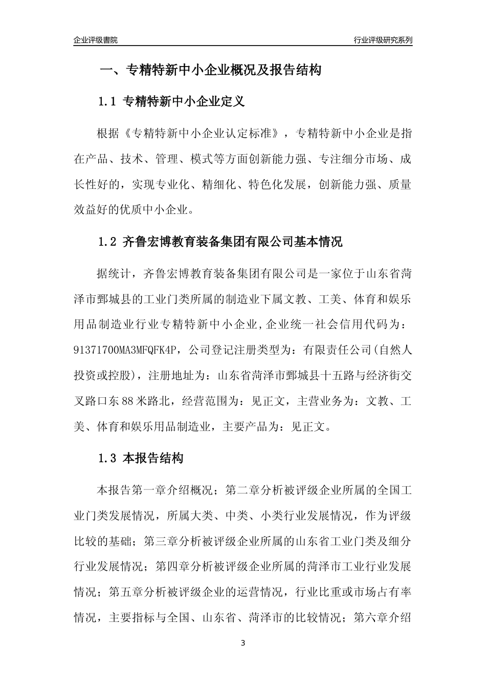 [专精特新]齐鲁宏博教育装备集团有限公司行业竞争力评级分析报告(2023版)_第3页