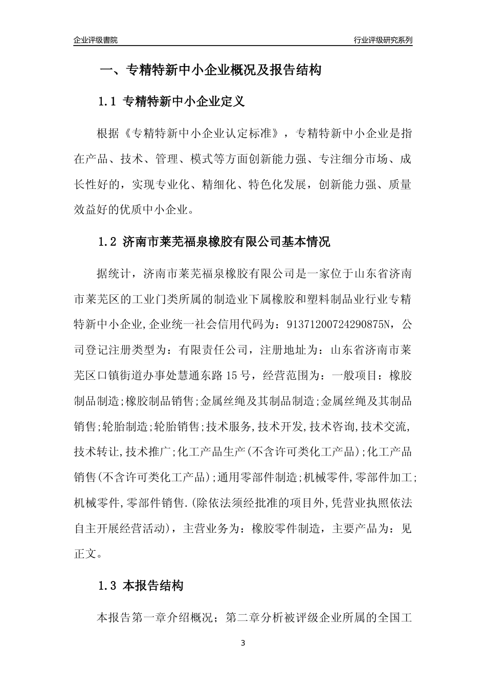[专精特新]济南市莱芜福泉橡胶有限公司行业竞争力评级分析报告(2023版)_第3页
