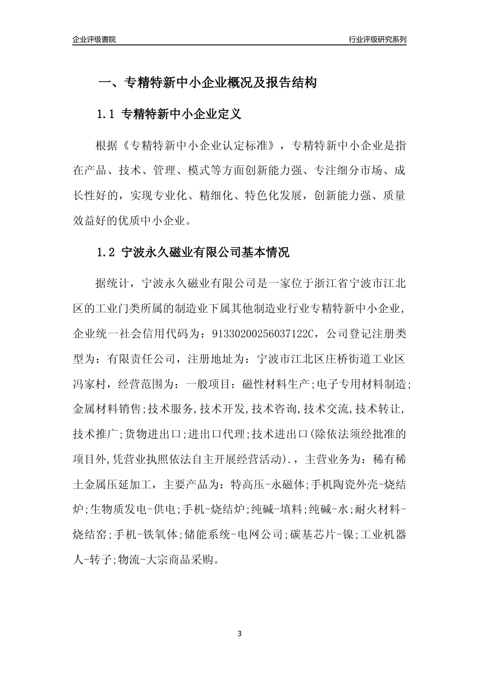 [专精特新]宁波永久磁业有限公司行业竞争力评级分析报告(2023版)_第3页
