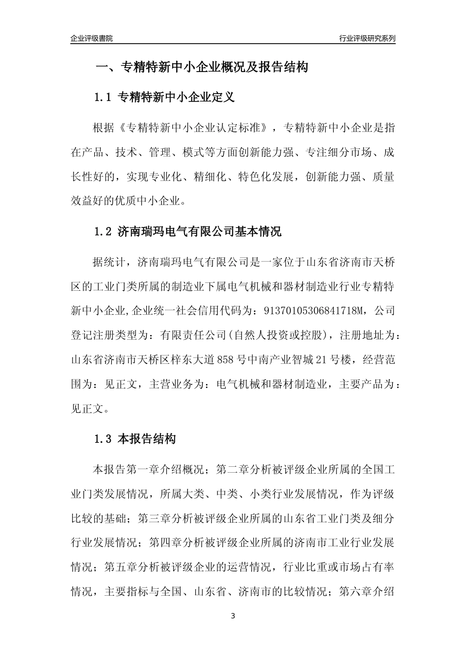 [专精特新]济南瑞玛电气有限公司行业竞争力评级分析报告(2023版)_第3页