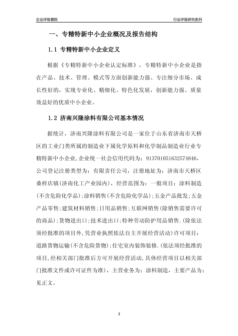 [专精特新]济南兴隆涂料有限公司行业竞争力评级分析报告(2023版)_第3页