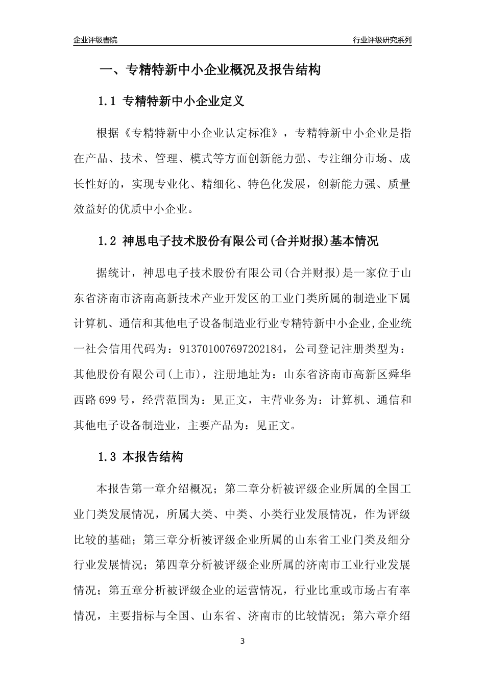 [专精特新]神思电子技术股份有限公司(合并财报)行业竞争力评级分析报告(2023版)_第3页