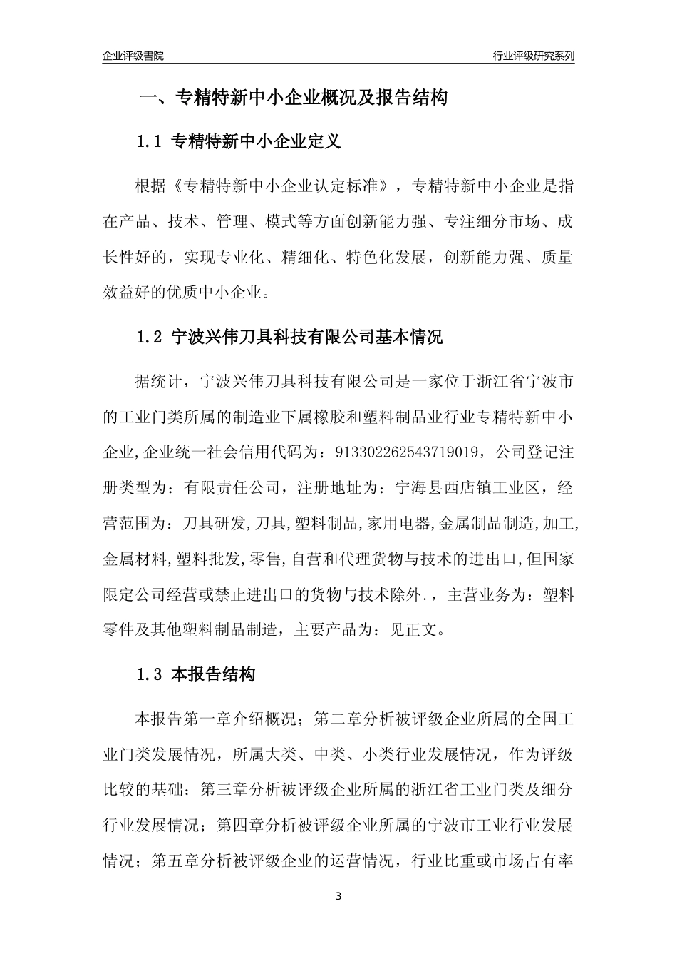 [专精特新]宁波兴伟刀具科技有限公司行业竞争力评级分析报告(2023版)_第3页