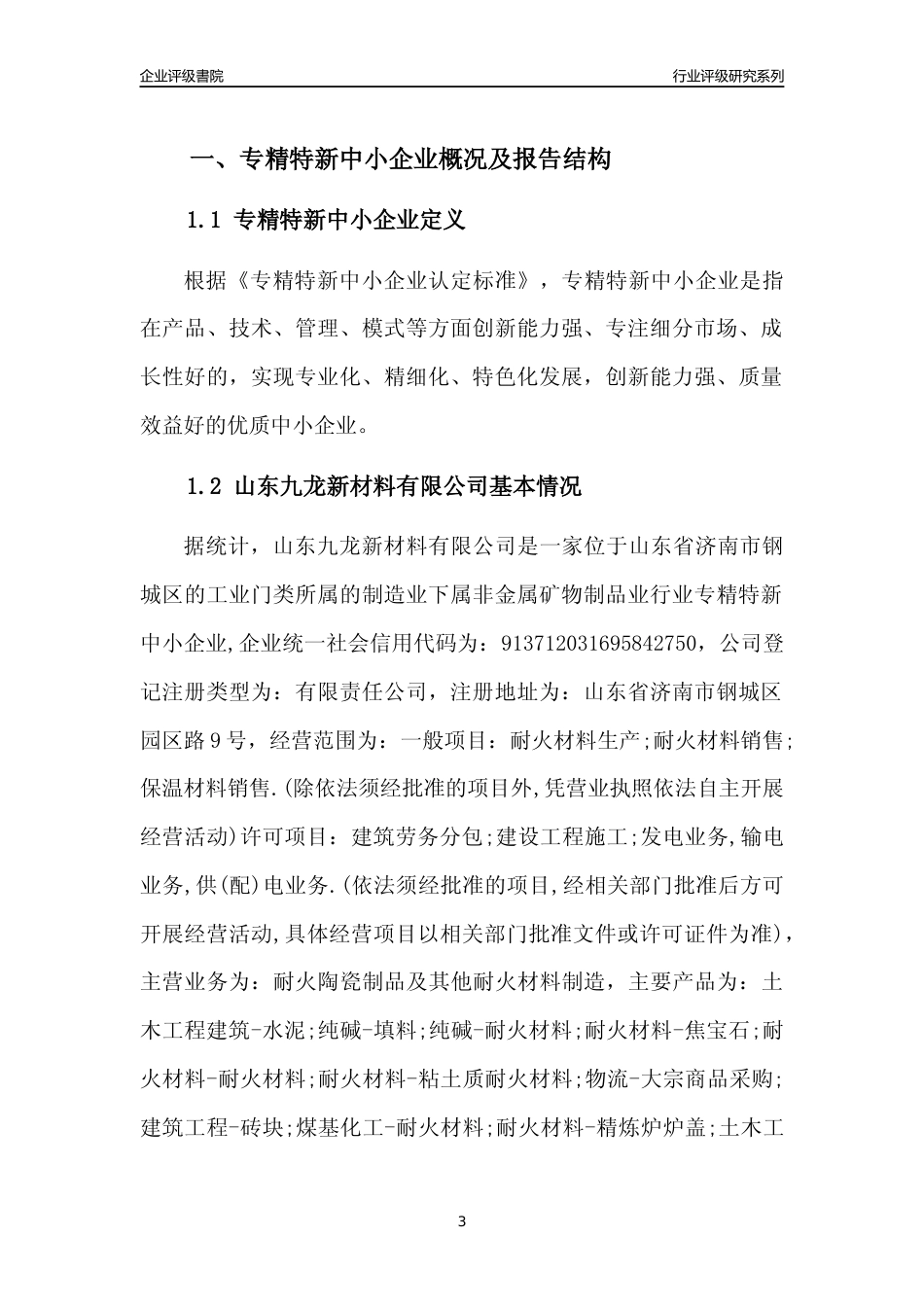[专精特新]山东九龙新材料有限公司行业竞争力评级分析报告(2023版)_第3页