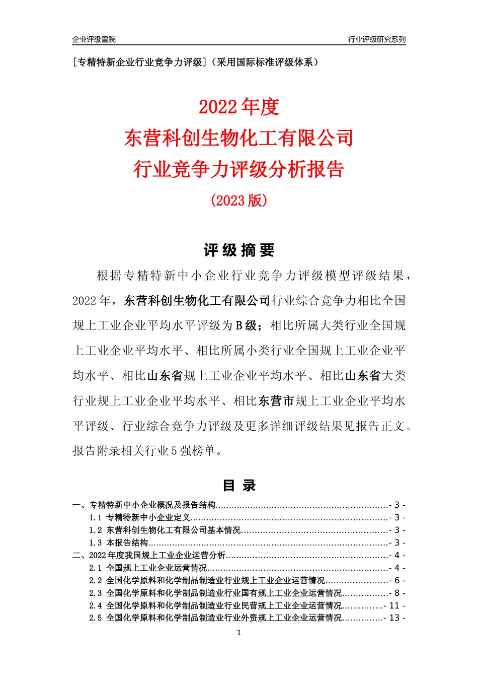 [专精特新]东营科创生物化工有限公司行业竞争力评级分析报告(2023版)_第1页