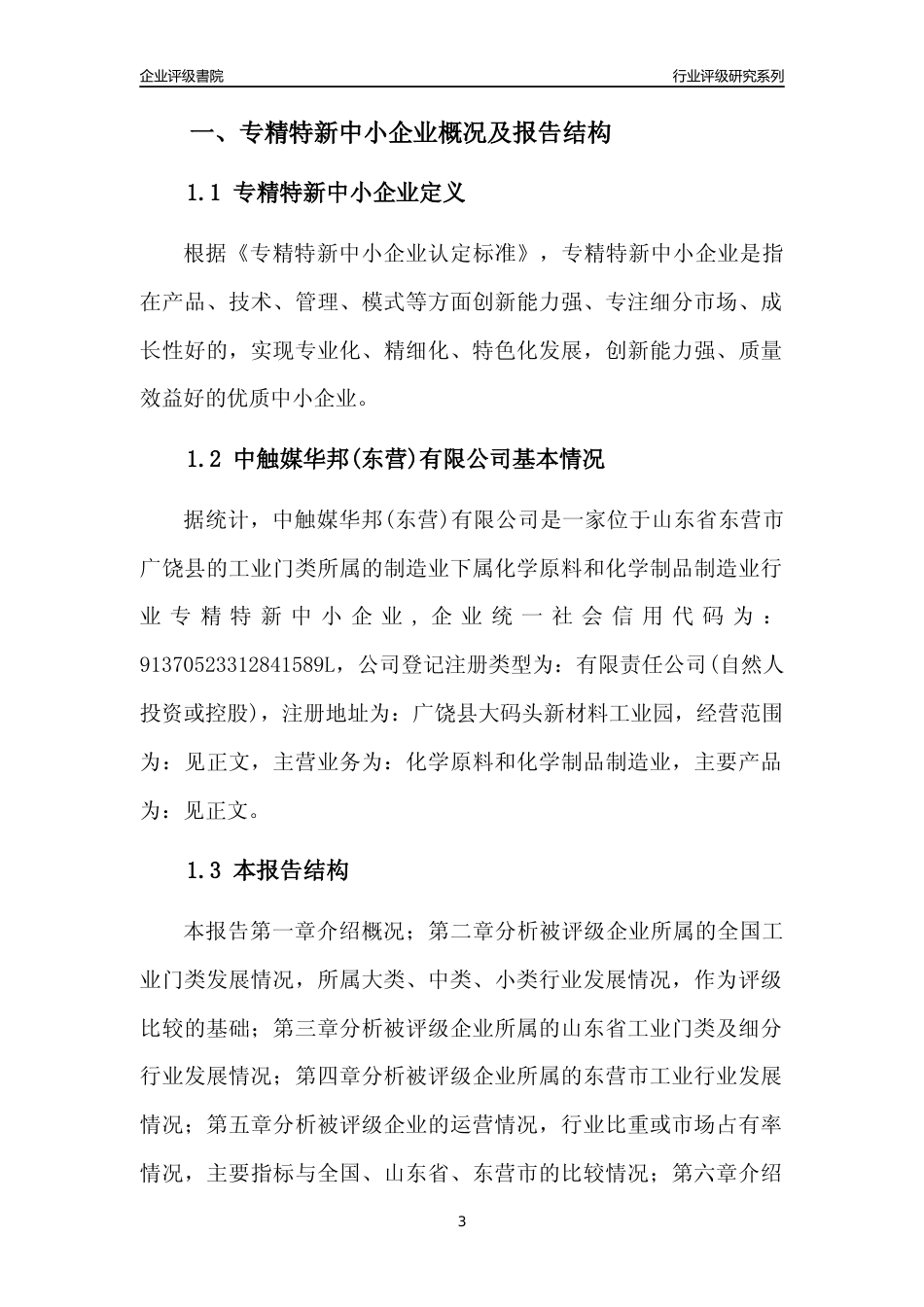 [专精特新]中触媒华邦(东营)有限公司行业竞争力评级分析报告(2023版)_第3页