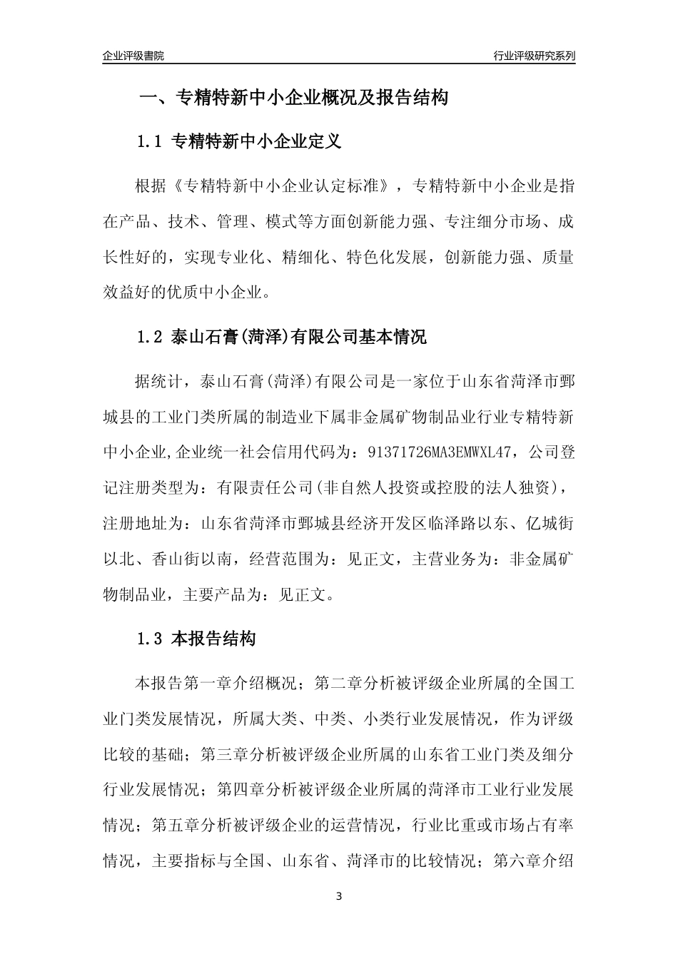 [专精特新]泰山石膏(菏泽)有限公司行业竞争力评级分析报告(2023版)_第3页