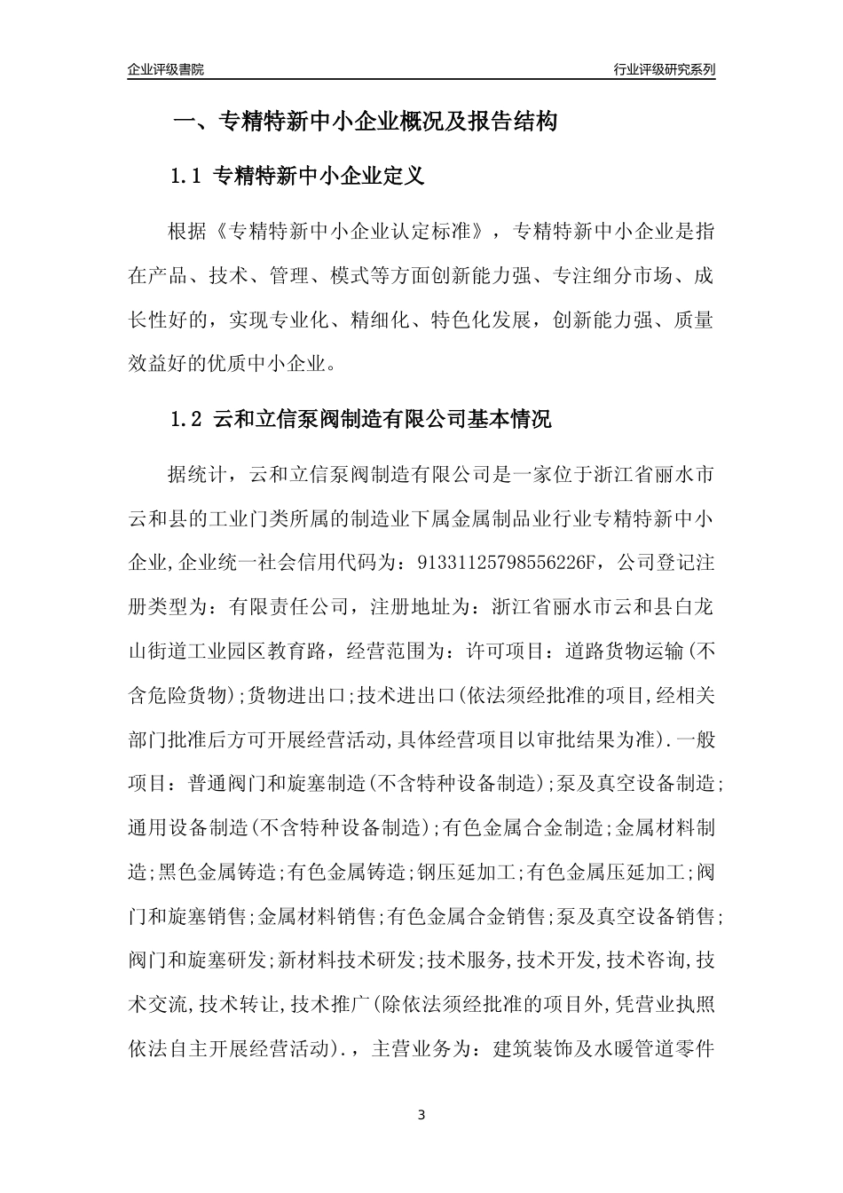 [专精特新]云和立信泵阀制造有限公司行业竞争力评级分析报告(2023版)_第3页