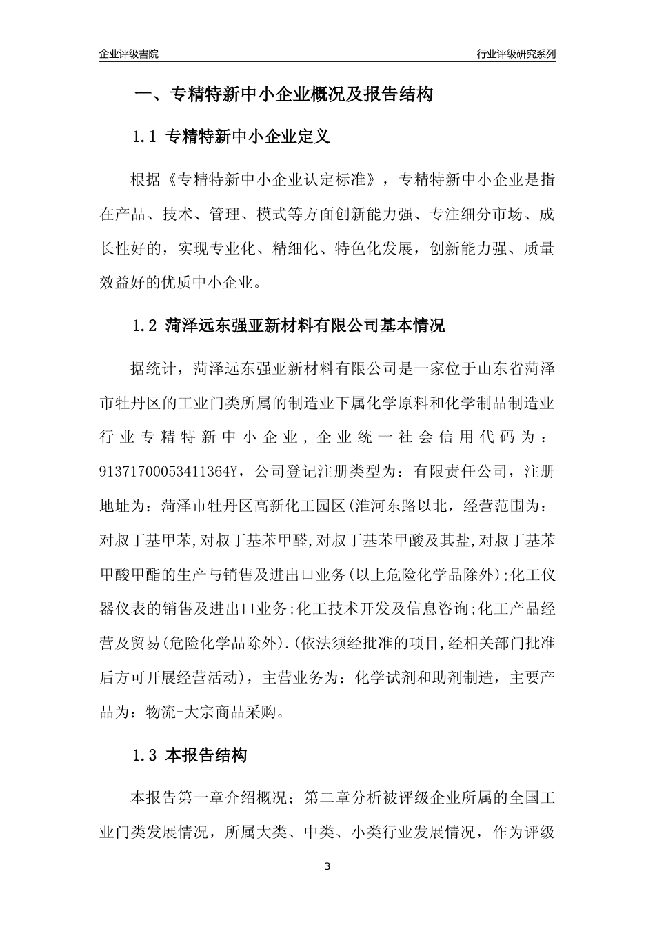 [专精特新]菏泽远东强亚新材料有限公司行业竞争力评级分析报告(2023版)_第3页